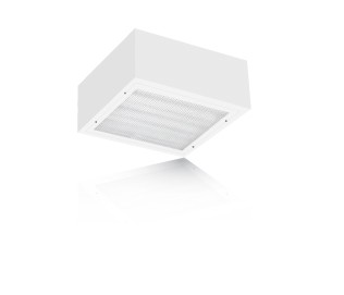 Extreme security surface box available with 1 CFLs.